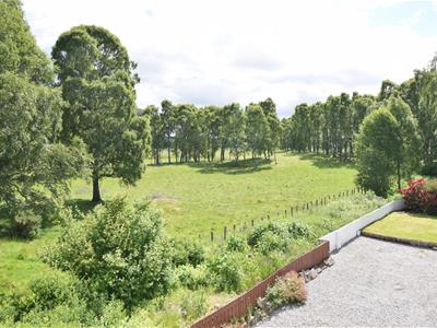 Picture 27